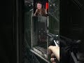He Barked at me lol - Hunt: Showdown 1896 #gaming #huntshowdown