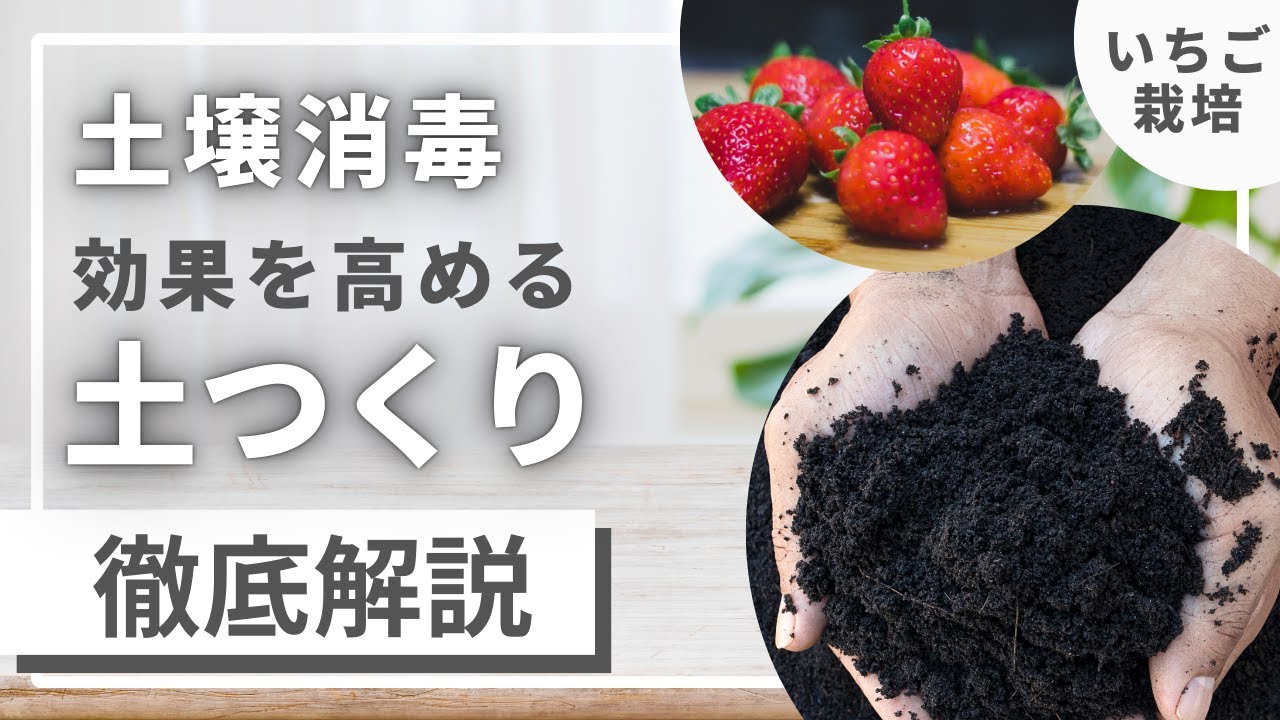 いちご農家さんに知って欲しい！イチゴの【土つくり】に最適なミネラル＆微生物資材