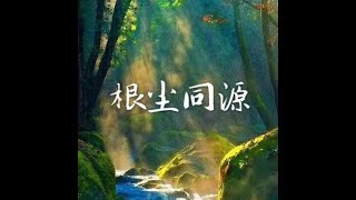 201704  根尘同源40440