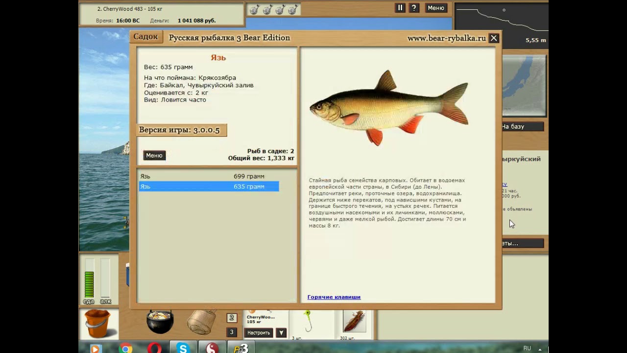 игра русская рыбалка 3. русская рыбалка 3 лабынкыр хариус. картина медведь. медведь с рыбой. русская рыбалка 3 золотой сундук.