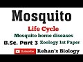 #Mosquitoes #मच्छर #Mosquito borne diseases #Rehan's Biology #Zoology 1st B.Sc. Part 3