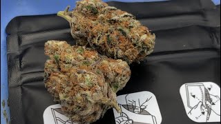 Gary Payton x LPC 75 x Kushmints 11 by G Farms (Strain Review #93) (UK)