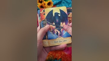 Seeker Oracle Flip Through