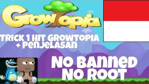 Trick 1 Hit Break + Penjelasan [ No Banned + No Root ] - Growtopia Indonesia