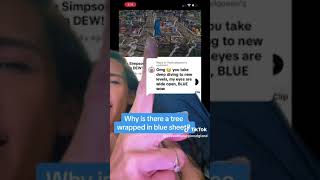 MAUI FIres Part 5 SIMPSONS prediction and BLUE TARP