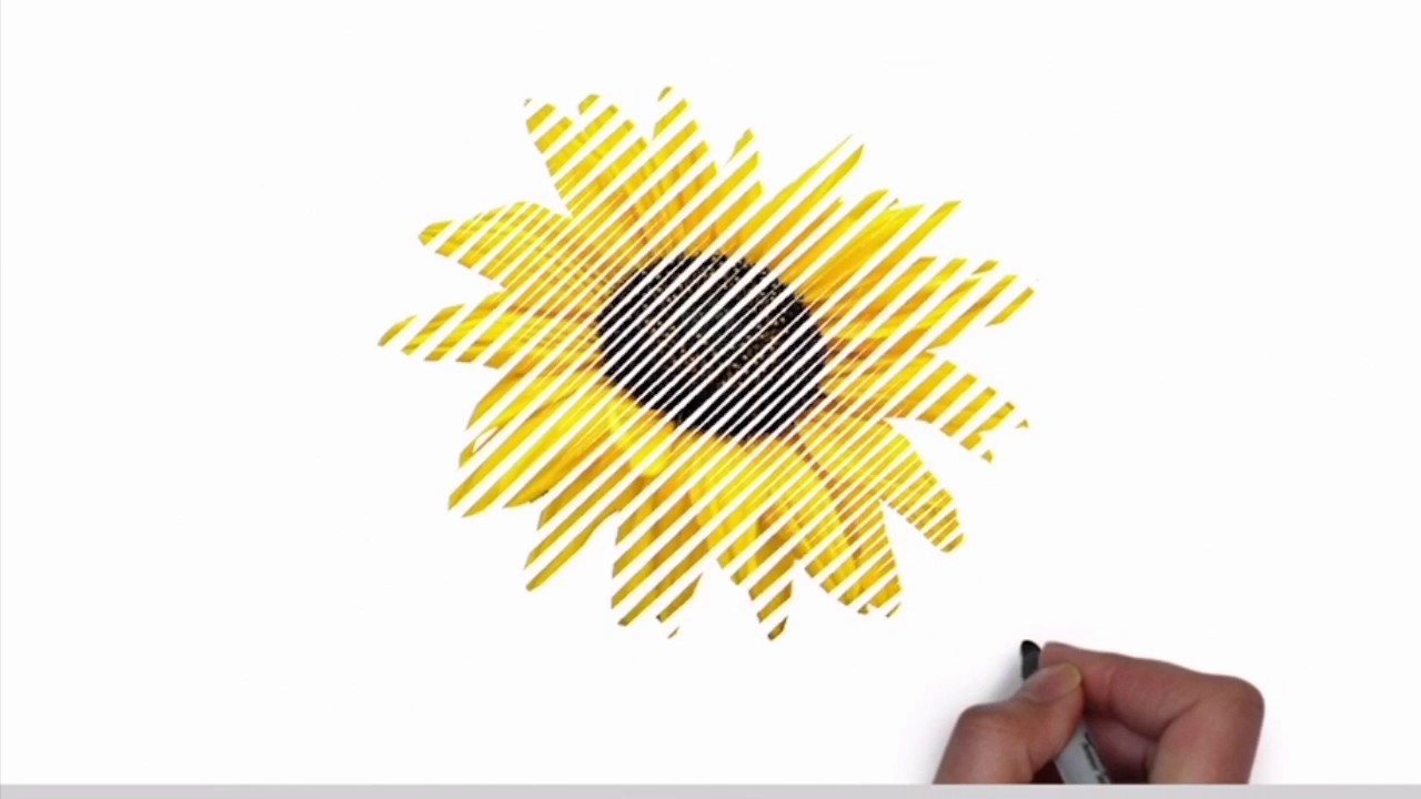 ViveBienestar PiVital