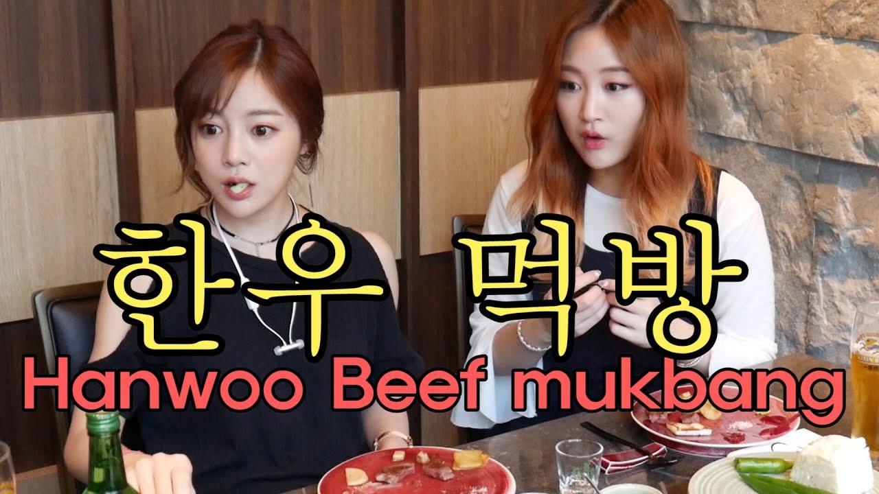 에리나[ 한우 먹방 with 제리언니 ]Trying out  Hanwoo Beef with jerry
