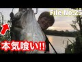 おこめさんコラボ!の下見に来たはずが、やってしまった…【バス釣り 琵琶湖 おかっぱり】