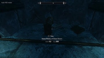 Project AHO, part 3: Discovering the AHO (Apotheosis Skyrim)