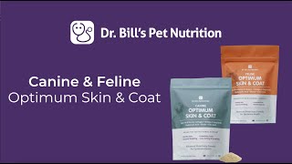 Canine & Feline Optimum Skin & Coat | Dr. Bill's Pet Nutrition