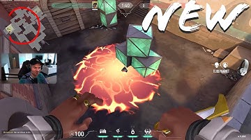 Phoenix Molly anywhere WITHOUT LINEUPS | AverageJonas