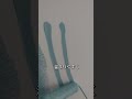 プロが必ずやるローラー塗装のWテクニック