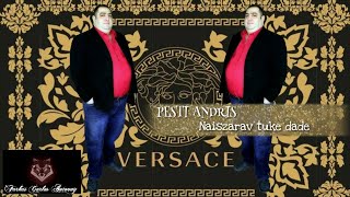Video thumbnail of "Pesti Andris 2019 Ricsi - Naiszarav tuke Dade (HATALMAS)"