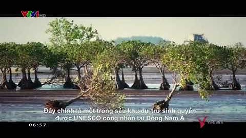Vùng biển Kim Sơn Ninh Bình