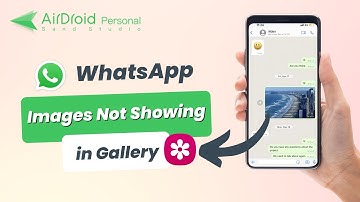 Why and How to Fix WhatsApp Images Not Showing in Gallery