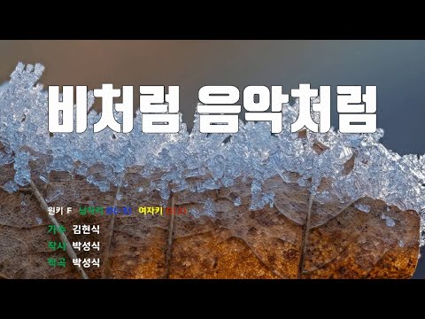 [은성 반주기] 비처럼음악처럼 - 김현식