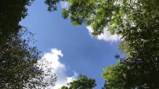 Alfonso Montes plays his composition "Azul Entre Nubes"