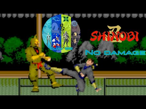 DJay 95 Plays Shinobi Arcade Longplay No Damage 