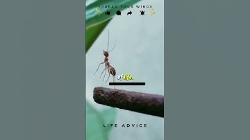 Wrong People Teach You The Right Lesson 🚀 | Bitter Reality Of Life ❤️