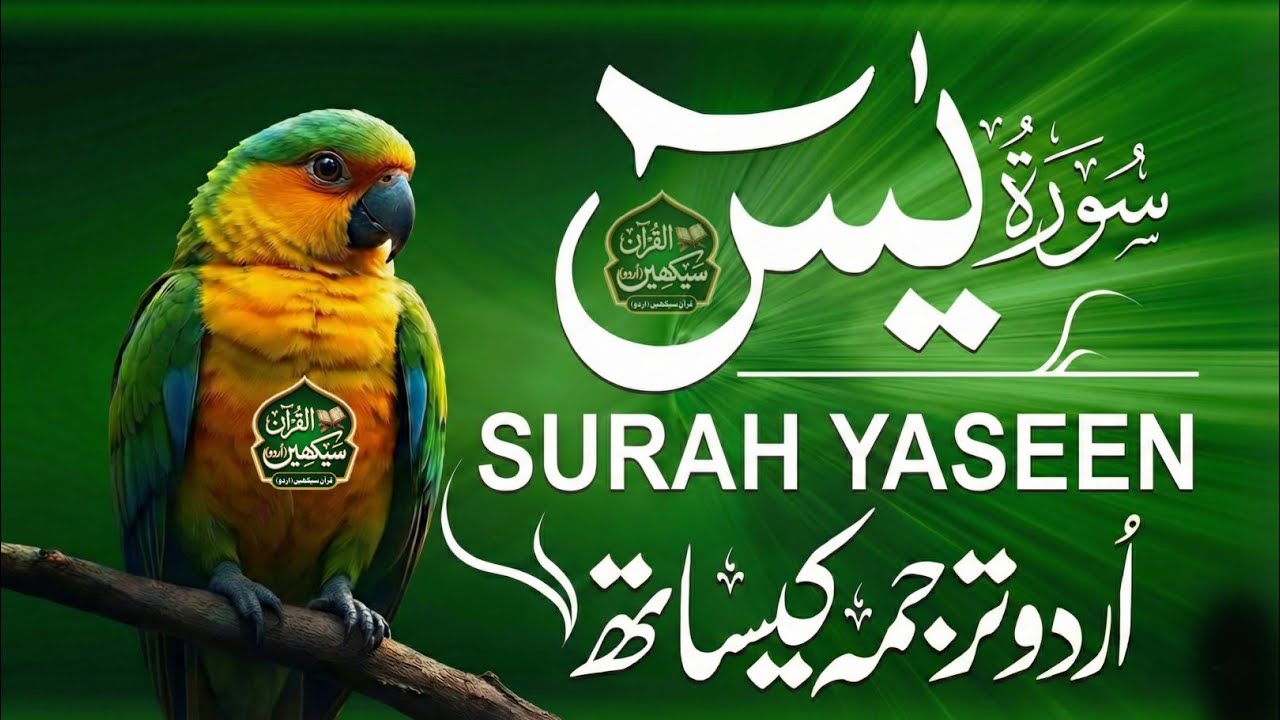 Surah Yaseen With Urdu Translation By Qari Mansoor Ghaznawi I Urdu And Hindi Tarjuma