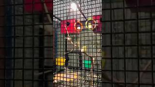 🥰motivation malayalam #shorts #trending #viral #short #motivation