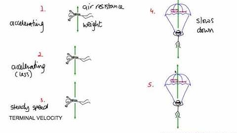 P2 Terminal Velocity