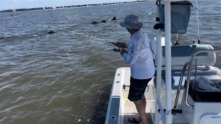 Speckled Trout Spawning Mississippi Sound!