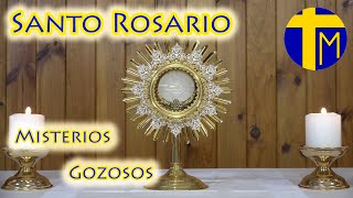 Santo Rosario. María con nosotros. Misterios Gozosos (lunes y sábado). Ante el Santísimo.