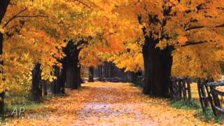PHILIP WESLEY - Lead Me Home (Relaxing music)