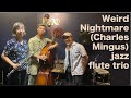 Weird Nightmare (Charles Mingus)  jazz flute trio