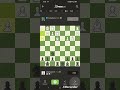 #crushed #my #opponent in #chess (GM)Chess | #chesscom #gmhikaru #checkmate #gothamchess