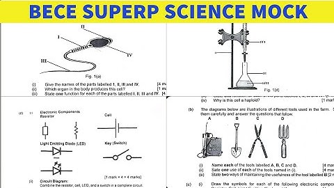 Integrated Science 2025 BECE Mock Objectives and Essay with Answers