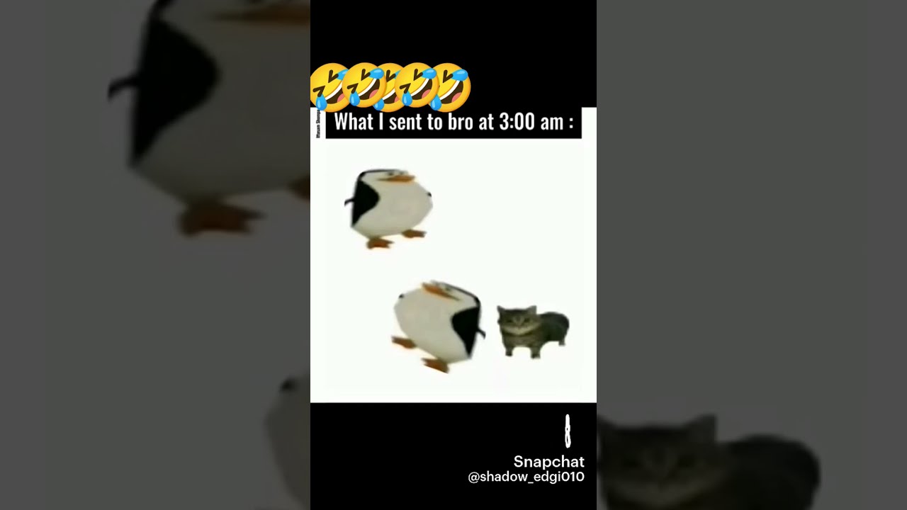 What I Sent Bro At 3am Memes Trendingshorts Funny