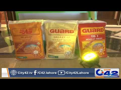 Marketing event of Guard rice - YouTube