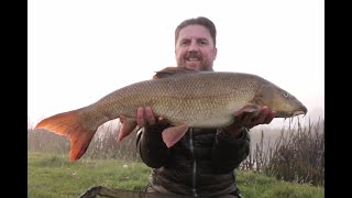 Short session Barbel success
