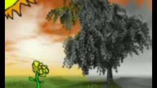 Video thumbnail of ""Girasol" Juan Jose Lavaniegos  -- La Plantita --"