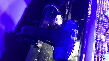 Cobalt Aquatics C-Vue 40 June 20th Update