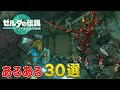 【みんなは共感する？】ティアキンあるある30選