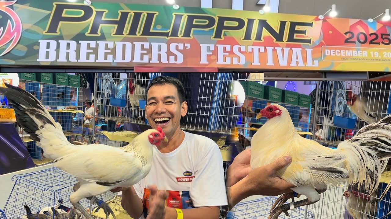 December 19,2025 Phillipine Breeder’s Festival 