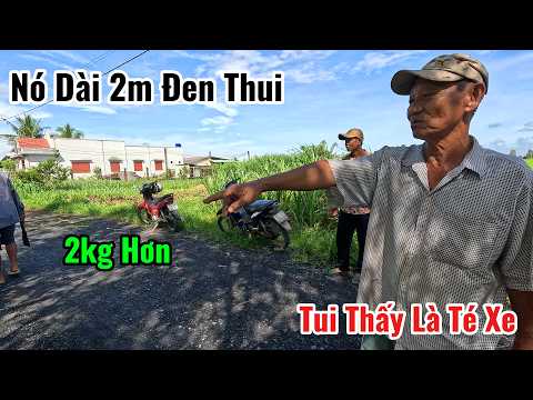 Ông Chú Thấy Con Rắn Dài 2m Đen Thui Bò Qua Đường Mà Không Nói Nên Lời | Mười Thương SB