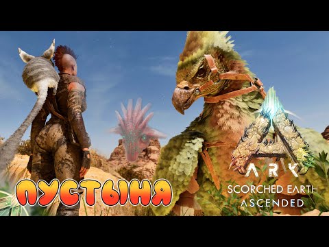 Видео: Переезд - ARK Survival Ascended - Scorched Earth #5