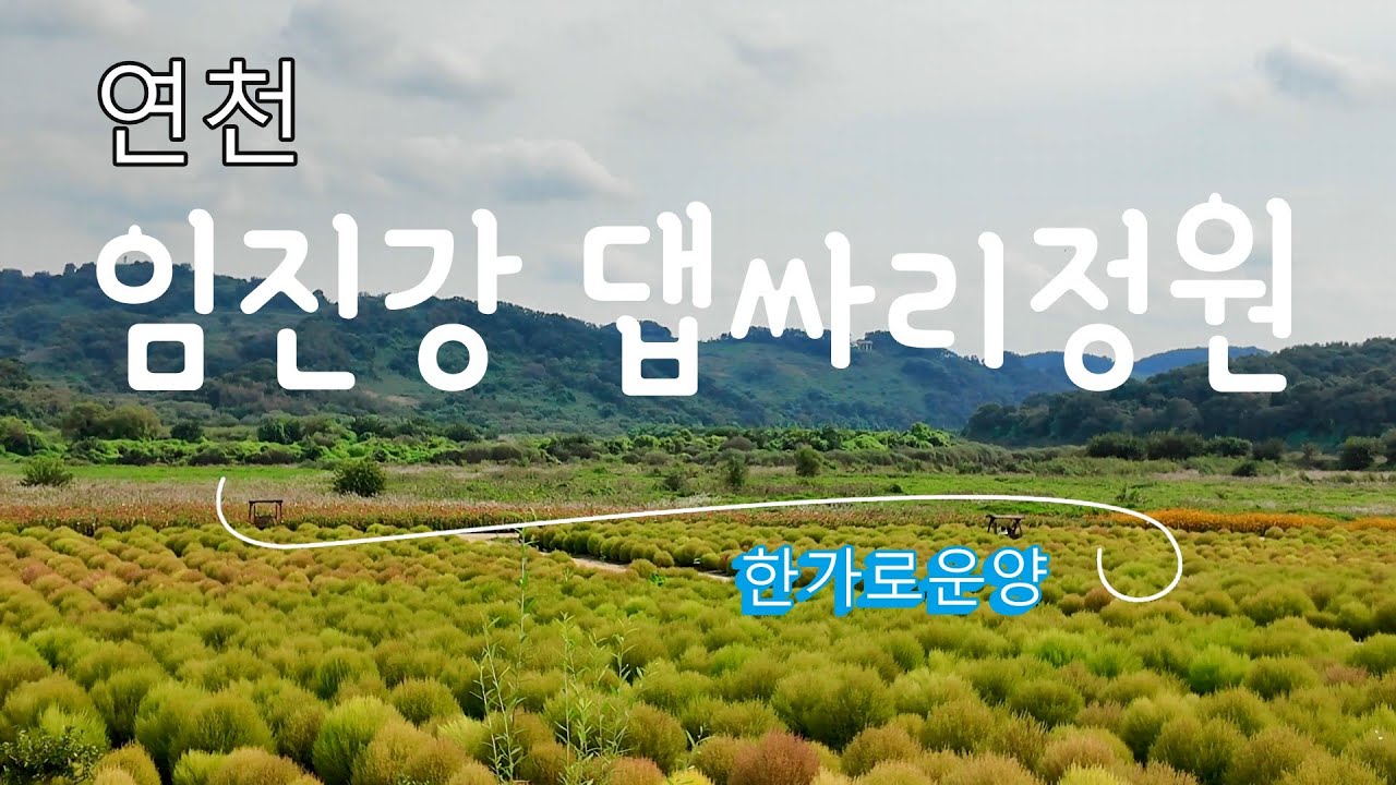 연천 임진강 댑싸리정원