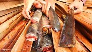 Experiment: Wow.... Catch Many Snake Head-Fish In The Rice Field | Natural Fish Catch By Hands.