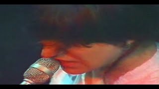 The Chameleons - Don't Fall - 4k -Remastered Version