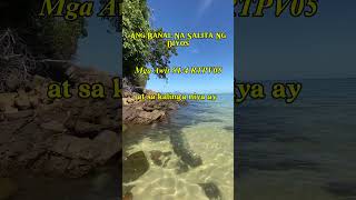 Mga Awit 91:4 RTPV05 #jesus #jesuschrist #angsalitangdiyos #bible #bibleverse #god #lord #panginoon