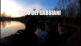 Gli Storioni del Lago dei Gabbiani