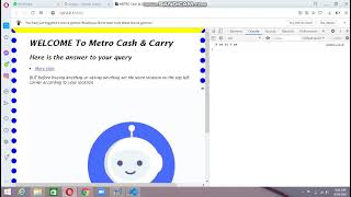 Chat Bot Using Javascript