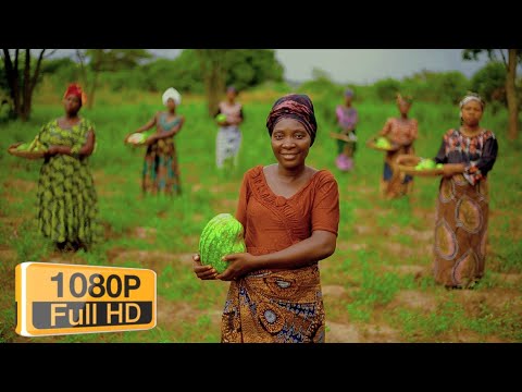 GOLIATI Official Video Goligota Kwaya EAGT Kazima