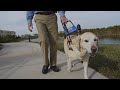 The Making of a Superhero (Southeastern Guide Dogs)