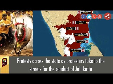 IN Graphics: Massive Jallikattu Support Protests across Tamil Nadu